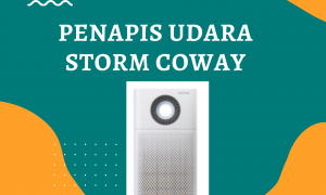 Penapis Udara Storm Coway