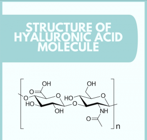 Struktur molekul Hyaluronic acid